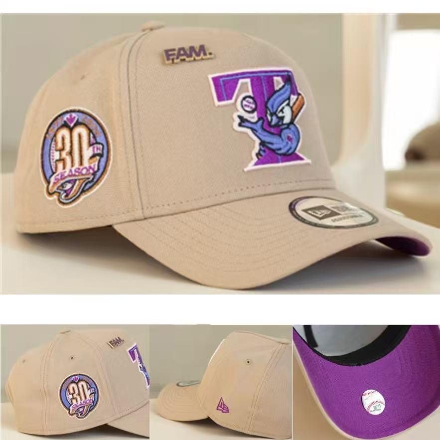 Toronto Blue Jays — 30th Season